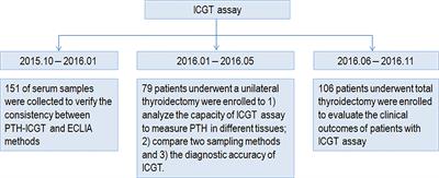 A Rapid Intraoperative Parathyroid Hormone Assay Based on the Immune Colloidal Gold Technique for Parathyroid Identification in Thyroid Surgery